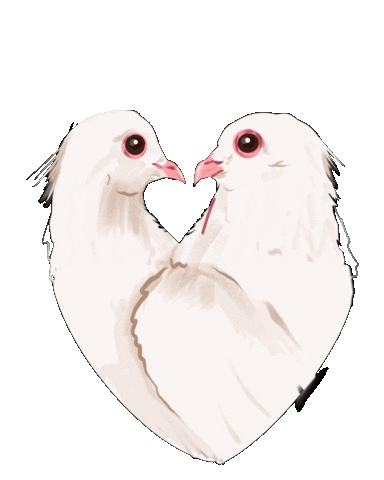 In Love Pigeon Sticker