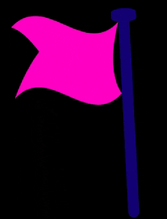 Pink Flag GIF by Temporary Palaces