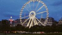 night-cinemagraphs-wheel-zebdly50l4DoA