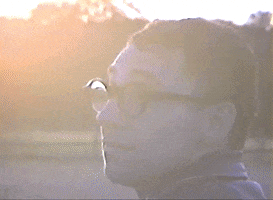 200.gif?cid=fc005b080fd8f5755a70e63f8d0083a190c633e434538deb&rid=200.gif&ct=g