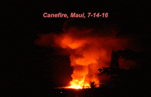 marywhisperingwind hawaii agriculture pollution maui GIF