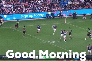 Good Morning GIF