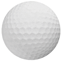 DPWTC Sticker