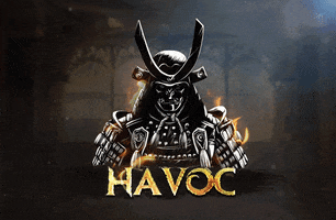 Havoc The New Order GIF