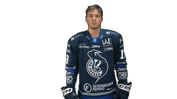 Popradhockey Sticker by HK Poprad