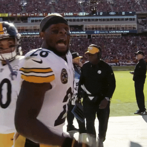 Watch This Pittsburgh Steelers GIF by NFL
