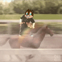Funny Horses GIFs - Find & Share on GIPHY