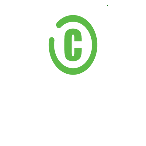 Confiz Pakistan Sticker