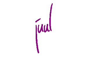 Juul Den Bosch Sticker