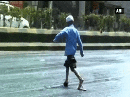 amandawills  GIF