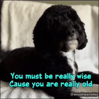 Getting Old Happy Birthday GIF