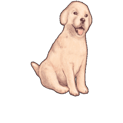 Skz Straykids Sticker