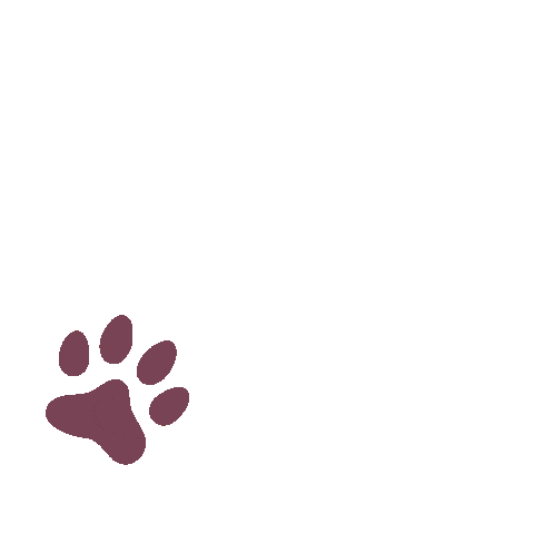 Paws Sticker by KUNKAY