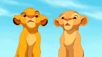 confused the lion king GIF