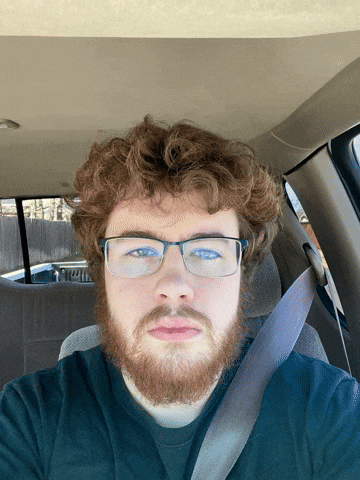 Car Beard GIF