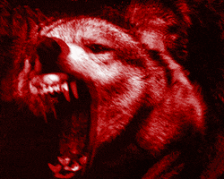 animation wolf GIF by weinventyou