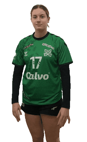 Handball Pase Sticker by balonmanxiria