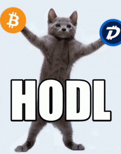 Invest Hold The Line GIF by DigiByte Memes