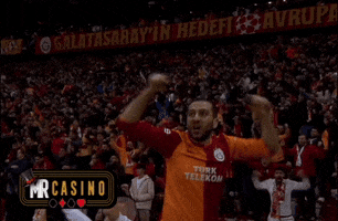 Galatasaray Taraftar GIF by MR CASINO