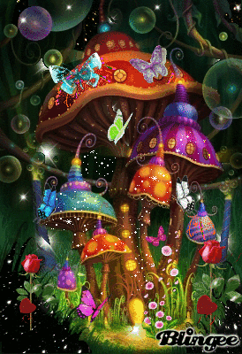 mushrooms