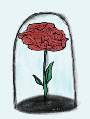 Sara-rose GIFs - Get the best GIF on GIPHY