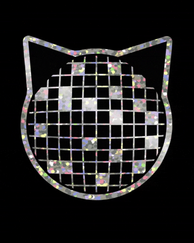Black Cat Disco Ball GIF