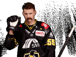 Del2 Seidenstadt Sticker by Krefeld Pinguine