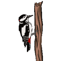 Missfauvine Sticker