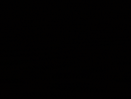 Bihar GIF
