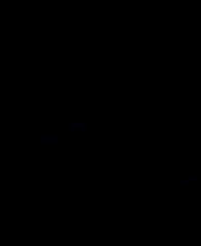 Funny Animals Fah GIF