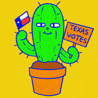 Vote Now Election 2020 GIF by INTO ACTION