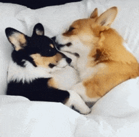Time For Bed Kisses GIF