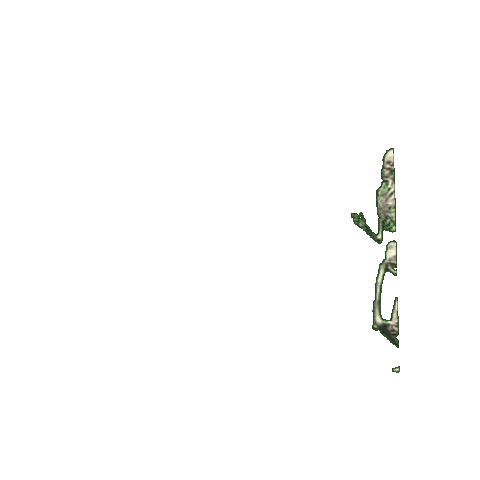 Sticker Skeleton Sticker