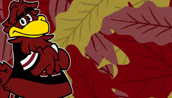 GIF by University of South Carolina