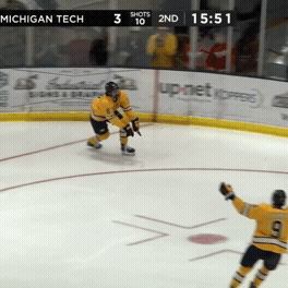 Hockey GIF