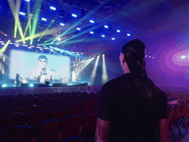 Concert Novel GIF