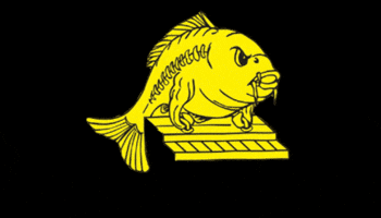Fish Mm GIF by mm-baitservice