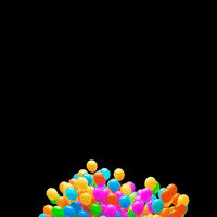 Casa Pio GIFs - Find \u0026 Share on GIPHY