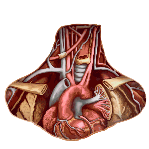 Alberta Women's Health Foundation Sticker