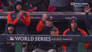 World Series Win GIF by MLB