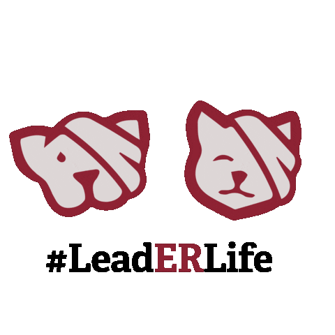 LeadERVET Sticker