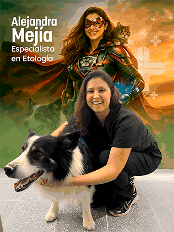 Veterinaria GIF
