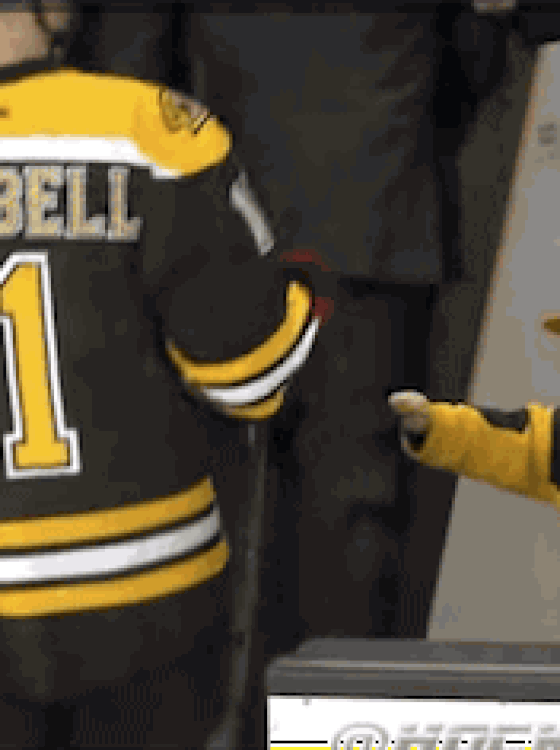 Boston Bruins GIF Find & Share on GIPHY
