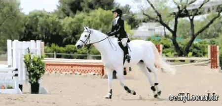 cheval blanc