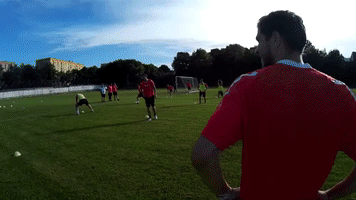 pecsimfc  GIF