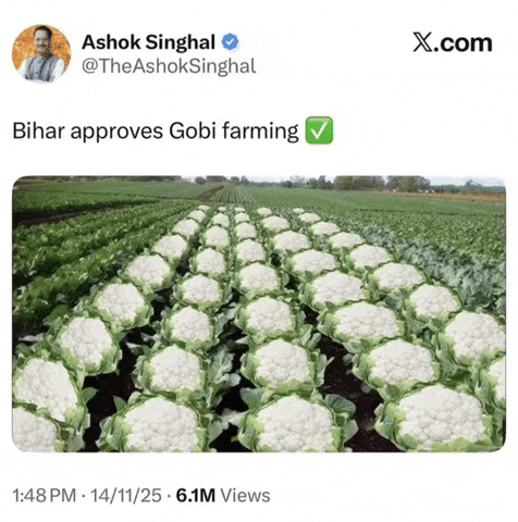 India Farming GIF