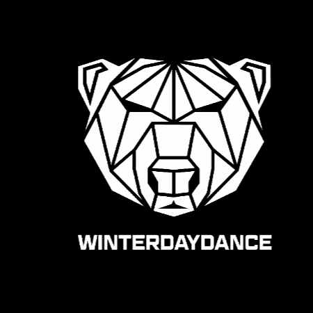 Winterdaydance GIF by AMBU-Tech AG