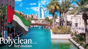 Dubai Lawn Care GIF by ENDURANT TURF PAINT
