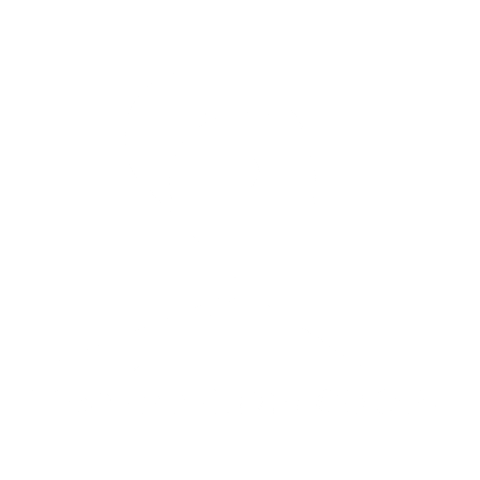 Anas Sticker by Stradeanas