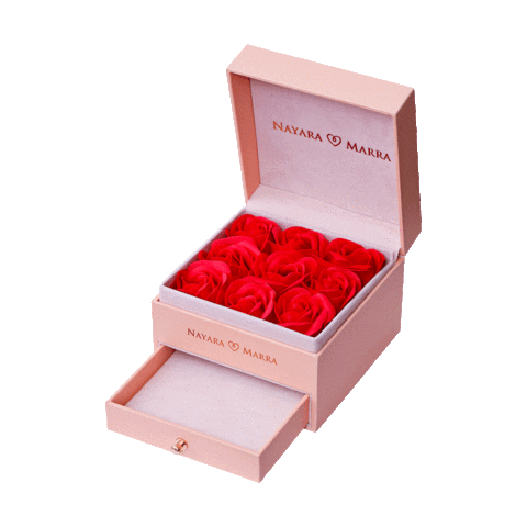 Nayara Marra Sticker